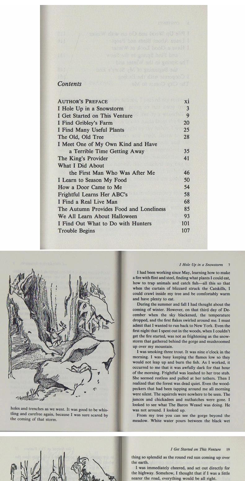 My Side of the Mountain, by Jean Craighead George