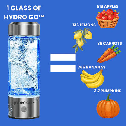 Hydro Go - The Hydrogen Water Generator